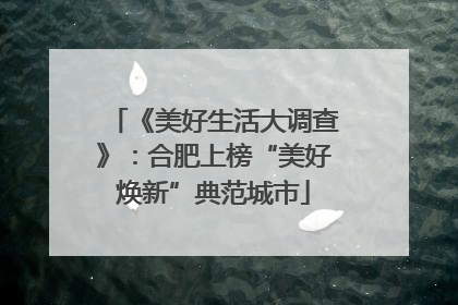 《美好生活大调查》：合肥上榜“美好焕新”典范城市