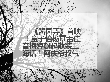 《酱园弄》首映！章子怡杨幂雷佳音梅婷飙起散装上海话！阿庆爷叔气氛组！独独没见他……