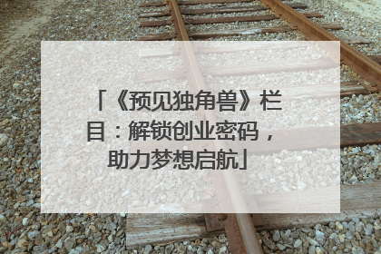 《预见独角兽》栏目：解锁创业密码，助力梦想启航