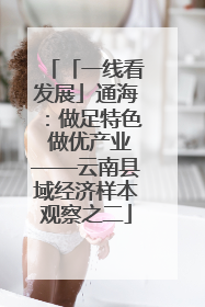 「一线看发展」通海：做足特色 做优产业——云南县域经济样本观察之二