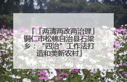 「两清两改两治理」铜仁市松桃自治县石梁乡：“四治”工作法打造和美新农村