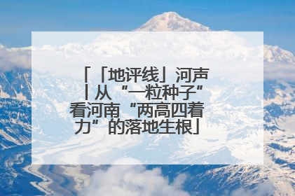 「地评线」河声丨从“一粒种子”看河南“两高四着力”的落地生根