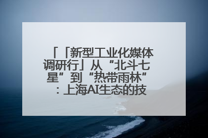 「新型工业化媒体调研行」从“北斗七星”到“热带雨林”：上海AI生态的技术商业共生密码