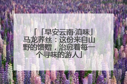 「早安云南·滇味」马龙荞丝：这份来自山野的馈赠，治愈着每一个寻味的游人