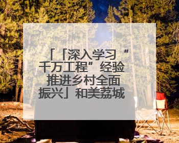 「深入学习“千万工程”经验 推进乡村全面振兴」和美荔城 共富共美 荔城区扎实推进乡村振兴工作