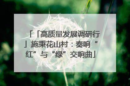 「高质量发展调研行」施秉花山村：奏响“红”与“绿”交响曲