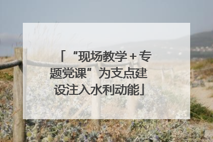 “现场教学＋专题党课”为支点建设注入水利动能