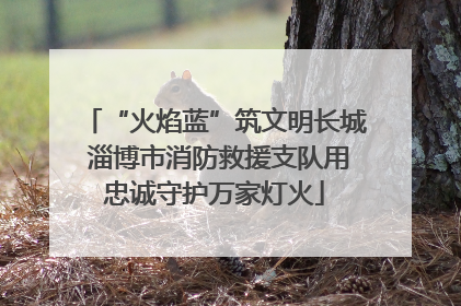 “火焰蓝”筑文明长城 淄博市消防救援支队用忠诚守护万家灯火