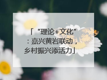 “理论+文化”：嘉兴黄岩联动，乡村振兴添活力