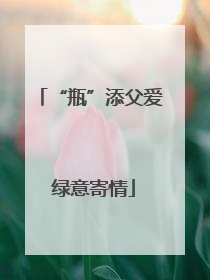 “瓶”添父爱 绿意寄情