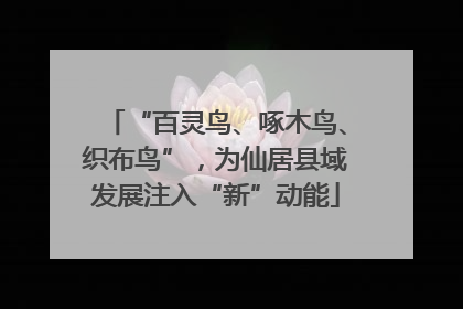 “百灵鸟、啄木鸟、织布鸟”，为仙居县域发展注入“新”动能
