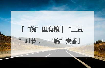 “皖”里有粮｜“三夏”时节，一“皖”麦香