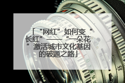 “网红”如何变“长红”——“一朵花”激活城市文化基因的破题之路