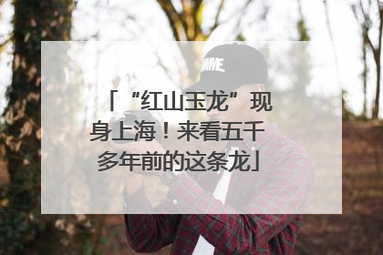 “红山玉龙”现身上海！来看五千多年前的这条龙