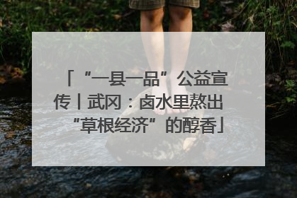 “一县一品”公益宣传丨武冈：卤水里熬出“草根经济”的醇香