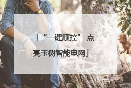“一键顺控” 点亮玉树智能电网