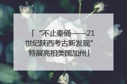 “不止秦俑——21世纪陕西考古新发现”特展亮相美国加州