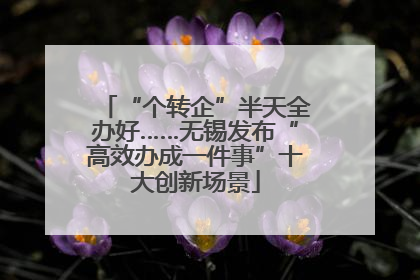 “个转企”半天全办好……无锡发布“高效办成一件事”十大创新场景