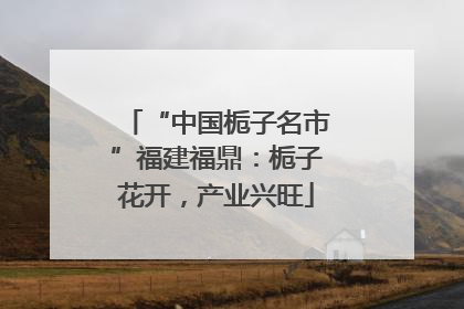 “中国栀子名市”福建福鼎：栀子花开，产业兴旺