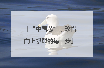 “中国芯”，珍惜向上攀登的每一步