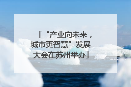 “产业向未来，城市更智慧”发展大会在苏州举办
