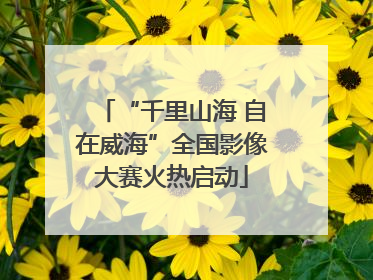 “千里山海 自在威海”全国影像大赛火热启动