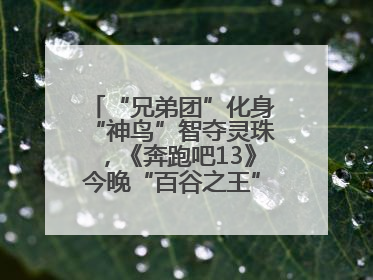 “兄弟团”化身“神鸟”智夺灵珠，《奔跑吧13》今晚“百谷之王”花落谁家？
