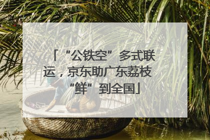 “公铁空”多式联运，京东助广东荔枝“鲜”到全国