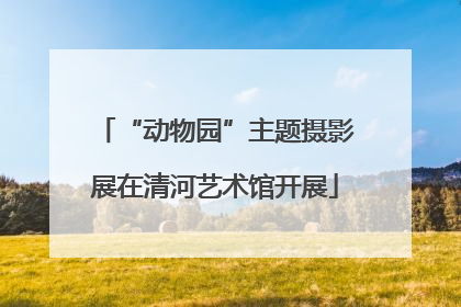“动物园”主题摄影展在清河艺术馆开展