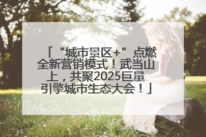 “城市景区+”点燃全新营销模式！武当山上，共聚2025巨量引擎城市生态大会！
