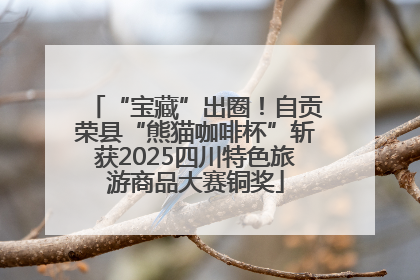“宝藏”出圈！自贡荣县“熊猫咖啡杯”斩获2025四川特色旅游商品大赛铜奖