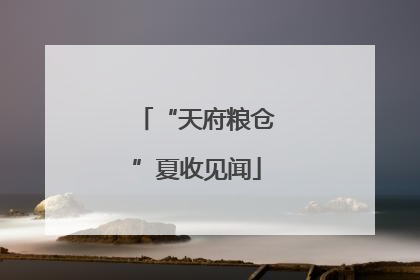“天府粮仓”夏收见闻
