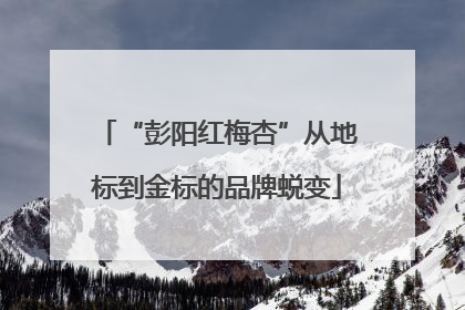 “彭阳红梅杏”从地标到金标的品牌蜕变