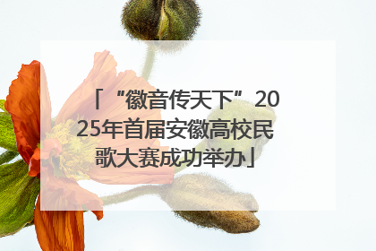 “徽音传天下”2025年首届安徽高校民歌大赛成功举办