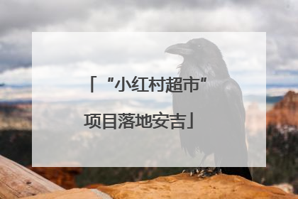 “小红村超市”项目落地安吉