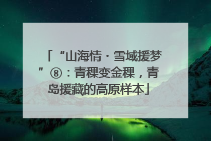 “山海情・雪域援梦”⑧：青稞变金稞，青岛援藏的高原样本