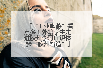 “工业旅游”看点多！外籍学生走进胶州李哥庄镇体验“胶州智造”