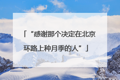 “感谢那个决定在北京环路上种月季的人”