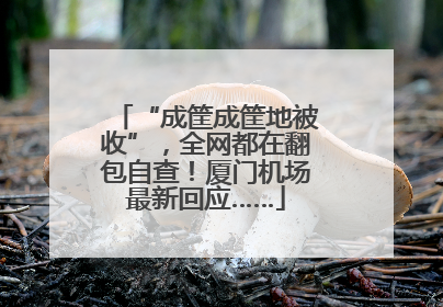 “成筐成筐地被收”，全网都在翻包自查！厦门机场最新回应……