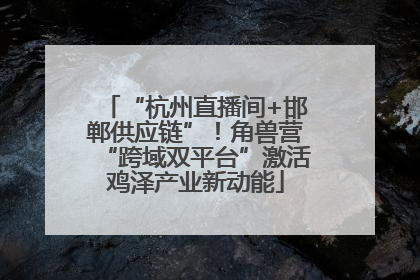 “杭州直播间+邯郸供应链”！角兽营“跨域双平台”激活鸡泽产业新动能