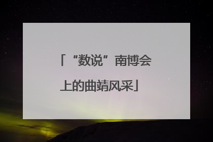 “数说”南博会上的曲靖风采