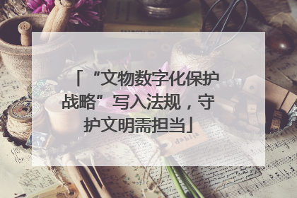 “文物数字化保护战略”写入法规，守护文明需担当