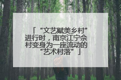 “文艺赋美乡村”进行时，南京江宁佘村变身为一座流动的“艺术村落”