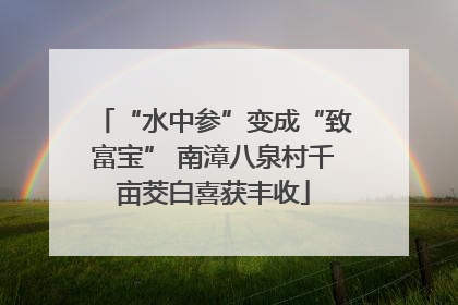 “水中参”变成“致富宝” 南漳八泉村千亩茭白喜获丰收