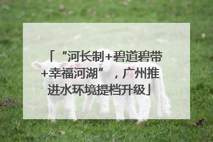 “河长制+碧道碧带+幸福河湖”，广州推进水环境提档升级