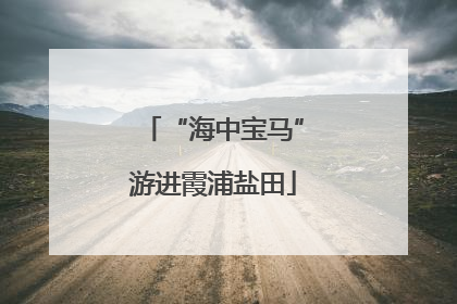 “海中宝马”游进霞浦盐田