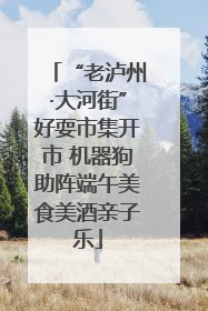 “老泸州·大河街”好耍市集开市 机器狗助阵端午美食美酒亲子乐