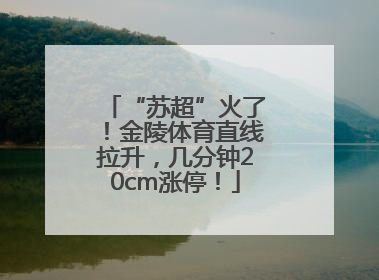 “苏超”火了！金陵体育直线拉升，几分钟20cm涨停！