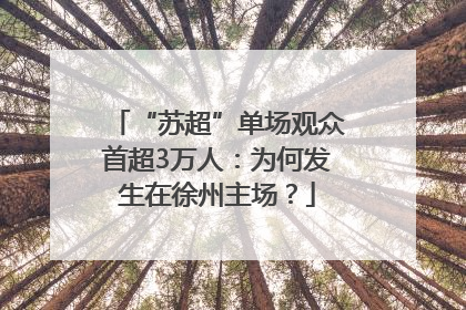 “苏超”单场观众首超3万人：为何发生在徐州主场？