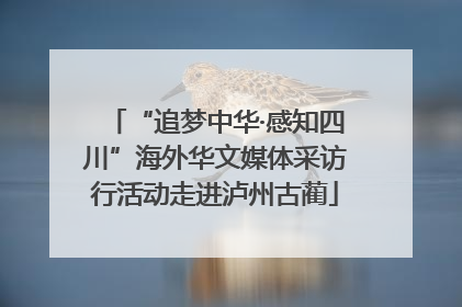“追梦中华·感知四川”海外华文媒体采访行活动走进泸州古蔺